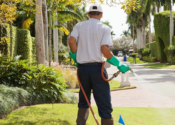 About Rush NY Pest Control